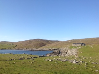 More of the land where the bottle was found.